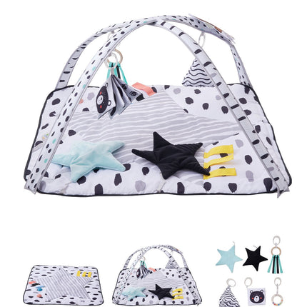 Baby Play Gym Mat, 6 Sensory Toys, 2 Touch Balls