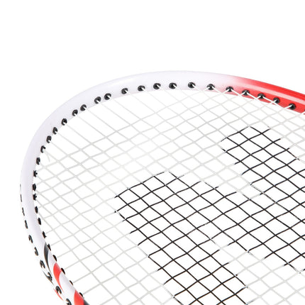 Badminton Set with Aluminum Rackets and Cover