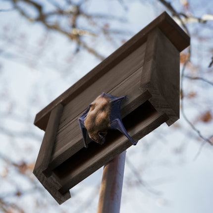 Bat box in brown wood