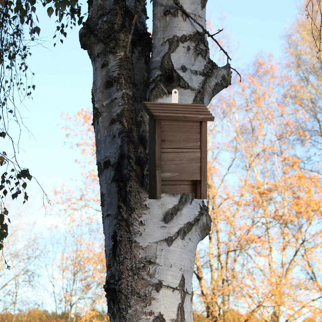 Bat box in brown wood