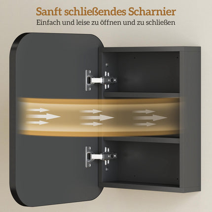 Bathroom Mirror Cabinet, Adjustable Shelves, Black, 40x10x51 cm