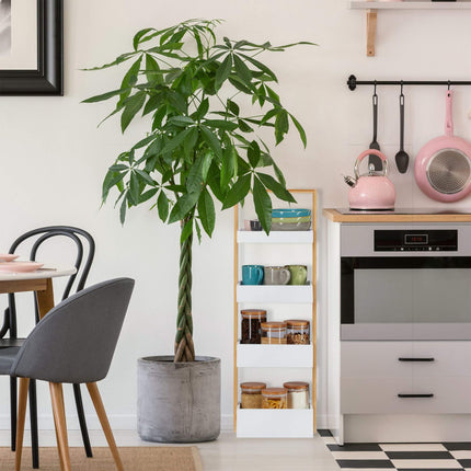 Bathroom shelf with 4 shelves