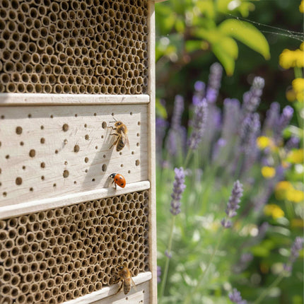 Bee Hotel – Large Wooden Insect Habitat