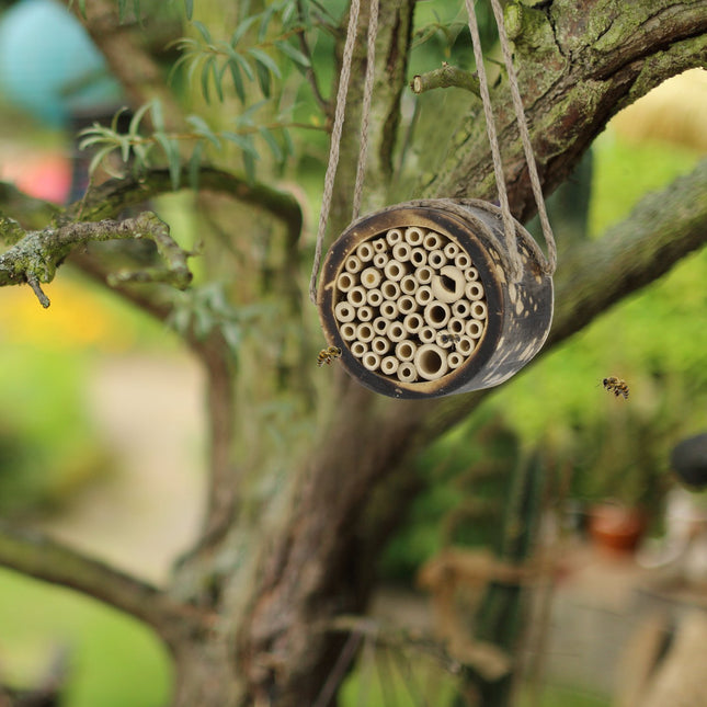 Bee hotel for wild bees