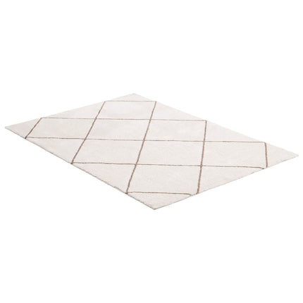 Beige Plush Area Rug 6x9 Ft – Non-Slip, Non-Shedding