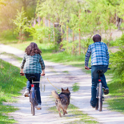 Bicycle leash with distance for dogs