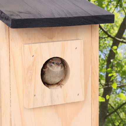 Bird Nesting Box for Tits & Sparrows, Pine Wood