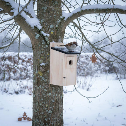 Bird Nesting Box for Tits & Sparrows, Pine Wood