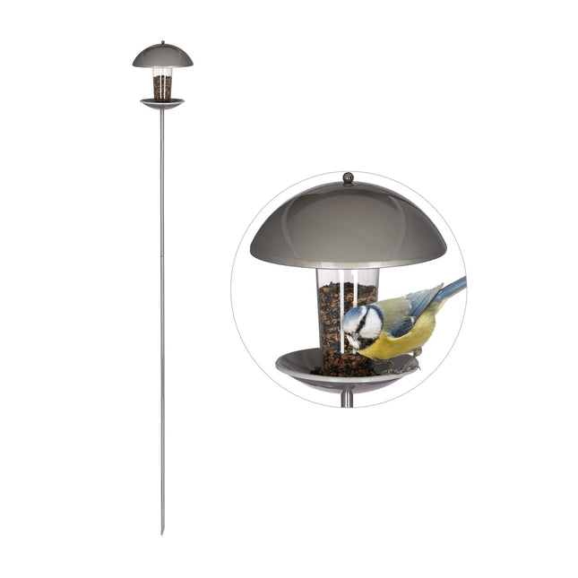 Bird feeder on a stick