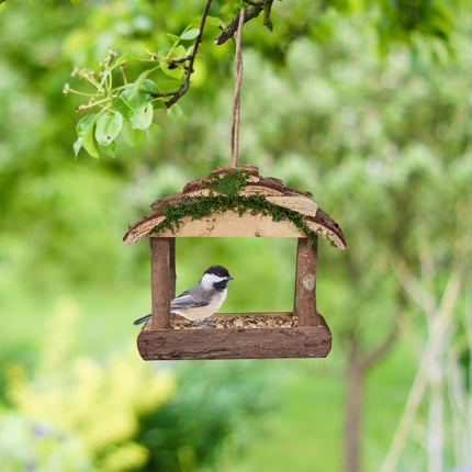 Bird feeder with suspension