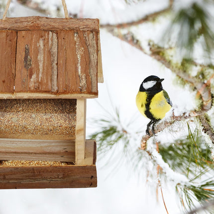 Bird feeder with suspension