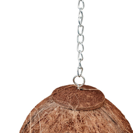 Birdhouse coconut set of 2