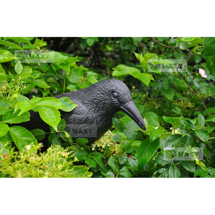 Bird repeller - raven