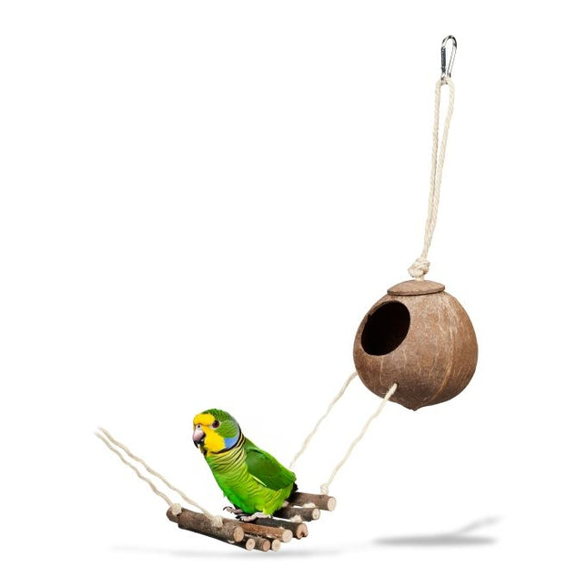 Bird toy with coconut and wooden ladder