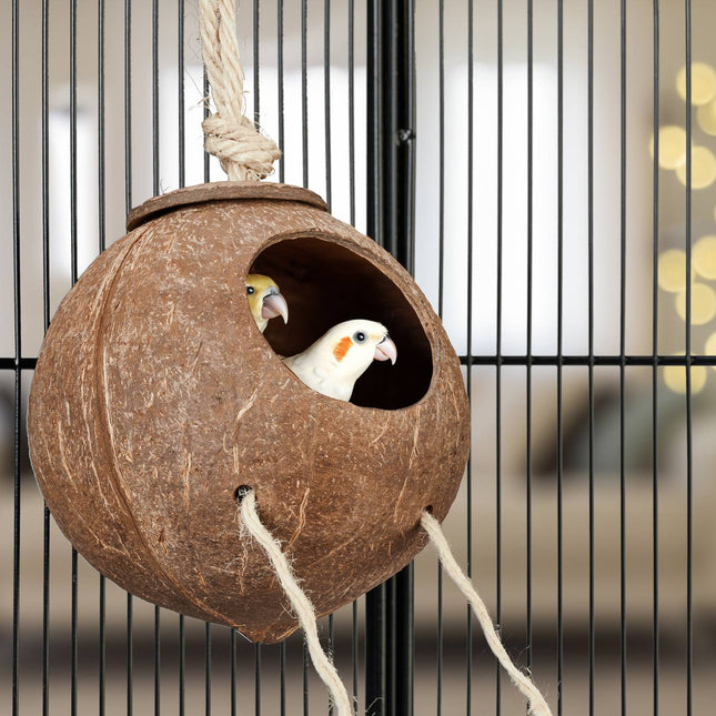 Bird toy with coconut and wooden ladder