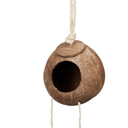 Bird toy with coconut and wooden ladder