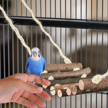 Bird toy with coconut and wooden ladder