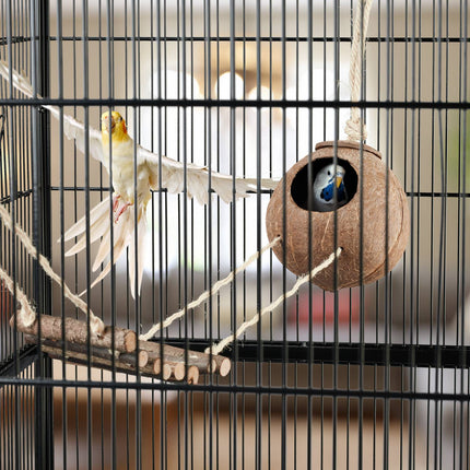 Bird toy with coconut and wooden ladder