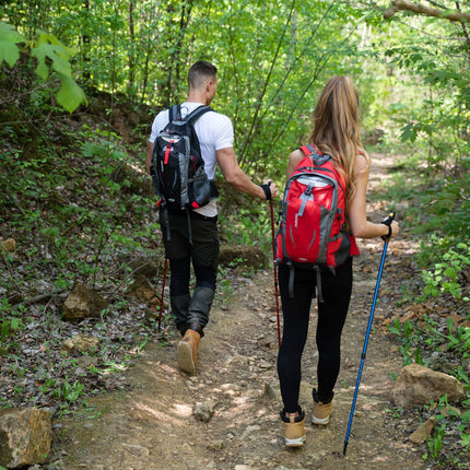 Black Backpack, 25L Capacity, Lightweight Design