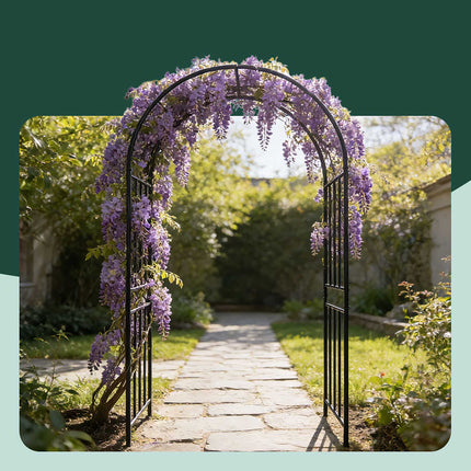 Black Metal Garden Arch for Climbing Plants