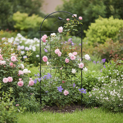 Black Steel Trellis Set for Climbing Plants
