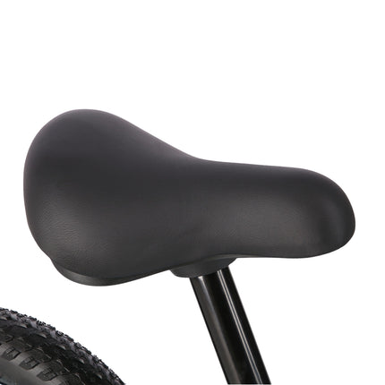 Blue Balance Bike, Lightweight, Adjustable Seat