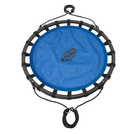 Blue Saucer Swing, 40-Inch, Outdoor Play