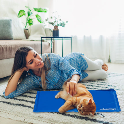 Blue cooling mat for dogs