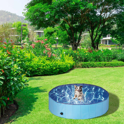 Blue dog pool