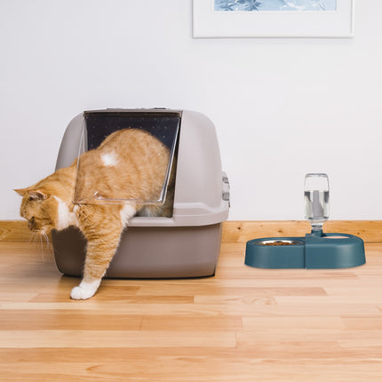 Blue food bowl with water dispenser