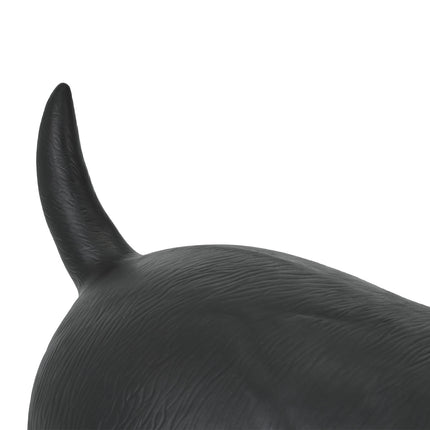 Bouncing animal dog black
