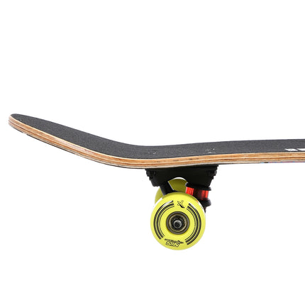 Brain Skateboard, 31"" Maple Deck, Double Kick