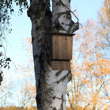 Brown Pine Wood Bat Box