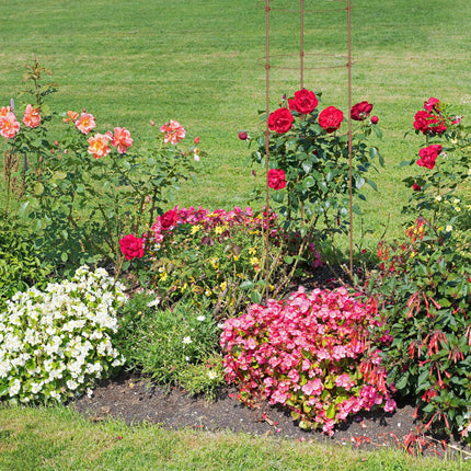Brown Plant Supports with Rings, 120 cm