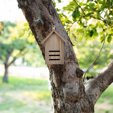 Brown spruce wood ladybug house