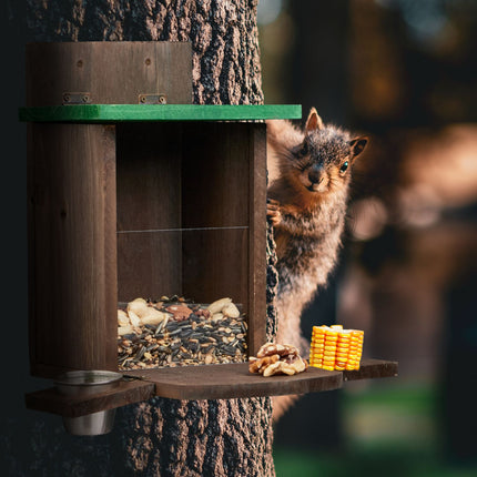 Brown squirrel feeder with bowl