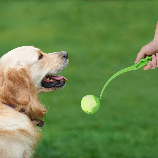 Bullets for dogs set of 2