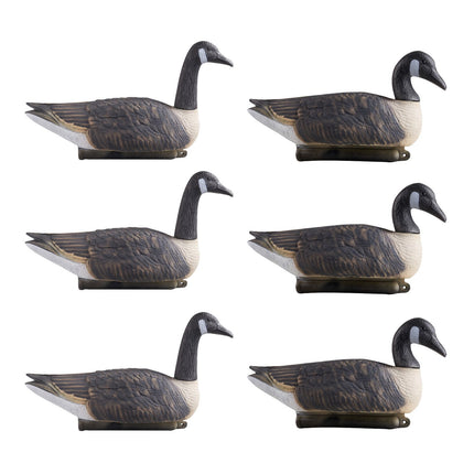 Canada Goose Decoys 6-Pack, Floating Waterfowl Hunting