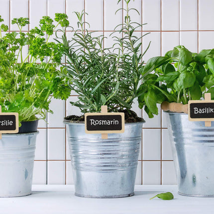 Cardboard clips for labeling