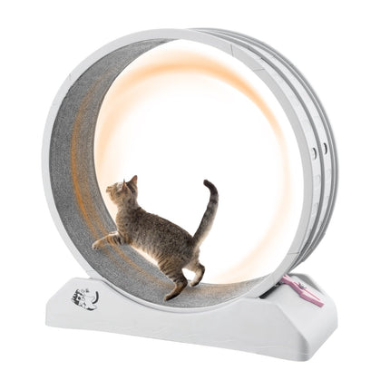 Cat Exercise Wheel 31.5 Inch, Quiet Brake, Carpeted Runway