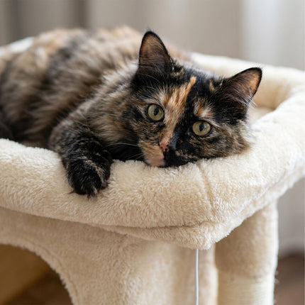 Cat Tree with Cave & Platform, Beige, 60 cm
