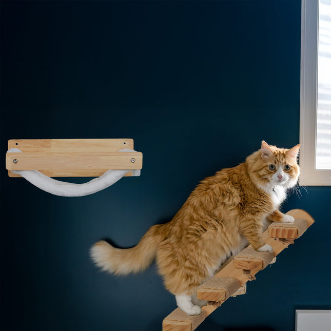 Kattenmuurtrap - 4 treden om te klimmen en krabben
