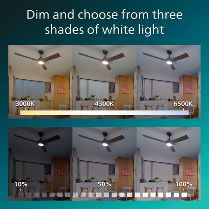 Ceiling Fan With LED Light, 132 cm, Remote, Reversible Blades