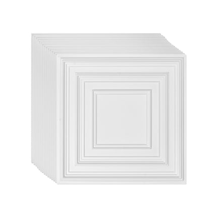 Ceiling Tiles 12-Pack, 24x24 PVC, White Peg Pattern