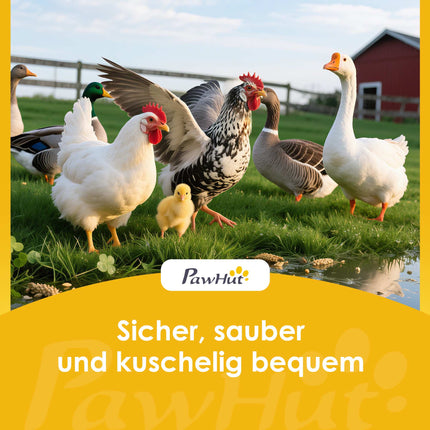 Chicken Coop with Nesting Box, Waterproof Roof, 4-6 Hens