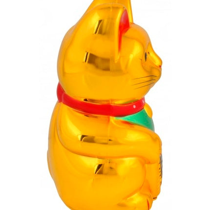 Chinese cat - golden
