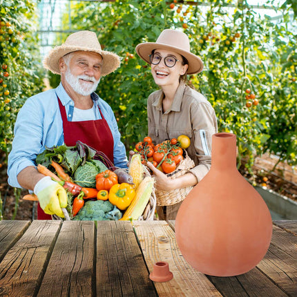 Clay Olla Irrigation Pot 3.5L – Water-Saving Solution
