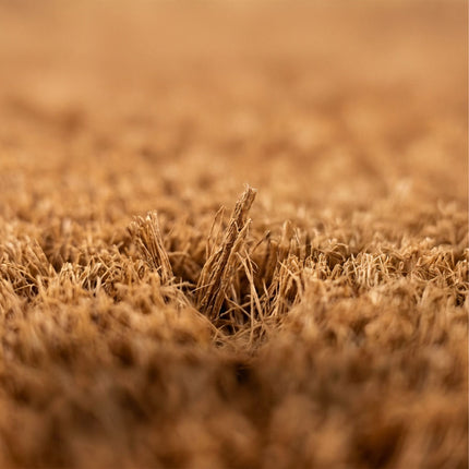 Coconut Coir Doormat, 60x40 cm, Indoor/Outdoor Use