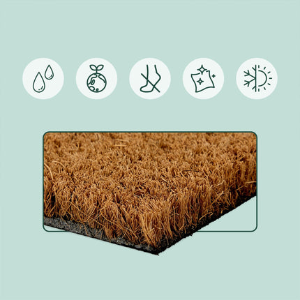 Coconut Doormat, Non-Slip, Botanical Design, 60x40 cm