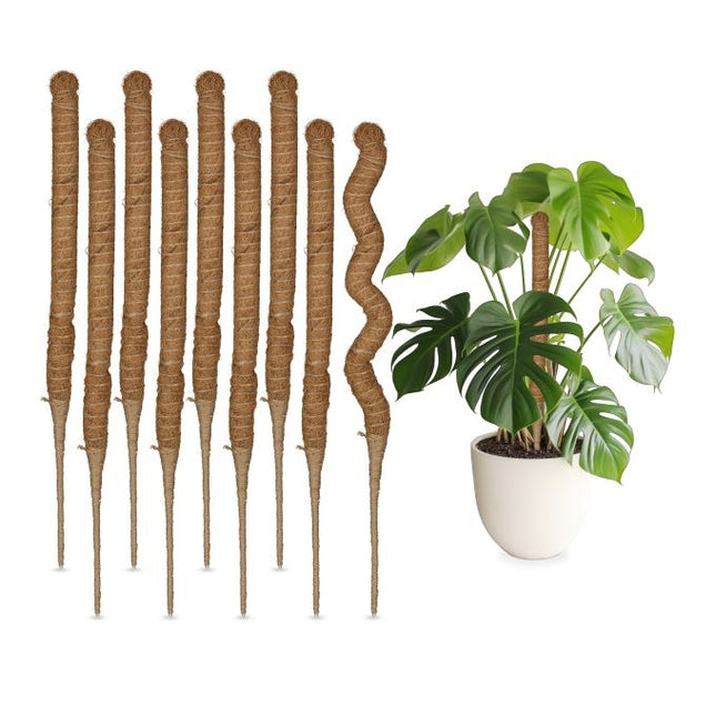 Coconut sticks 60 cm
